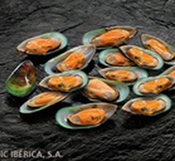 moluscos Lavilla