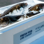 Screen-Shot-2017-07-11-at-13.10.49-e1584617751677